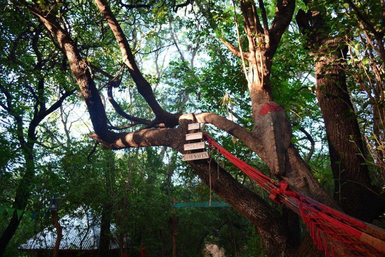 Hostel Eco Cultural Giramundo San Marcos Sierra Exteriér fotografie